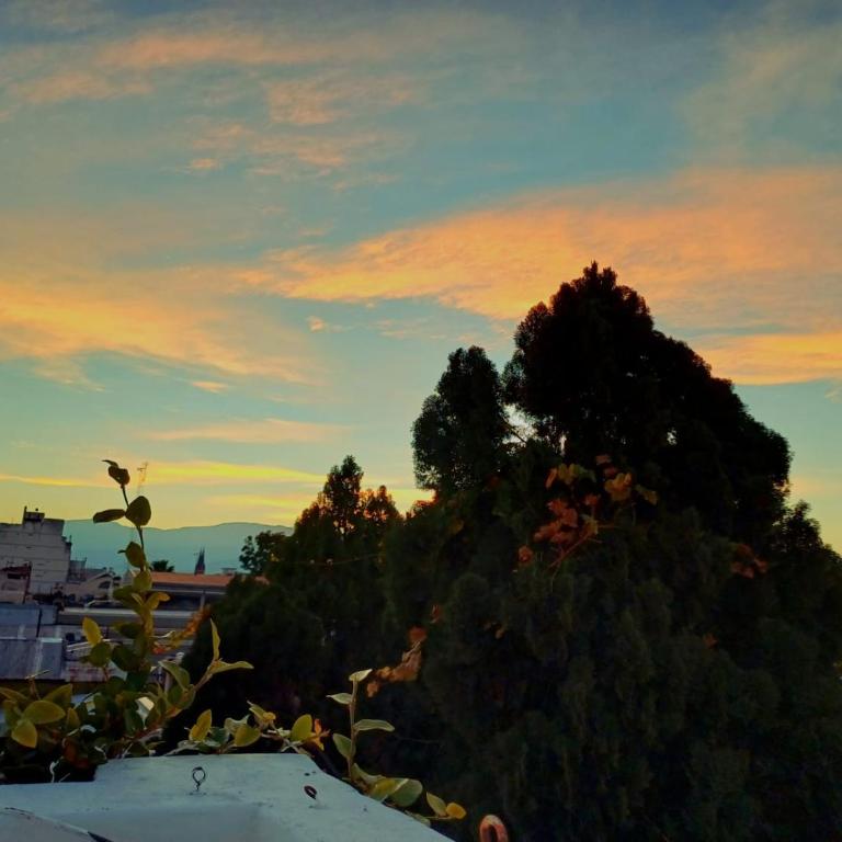 Casa Mayolica, en el centro de Salta, con terraza y estacionamiento gratuito - Casa de 3 dormitorios - 36