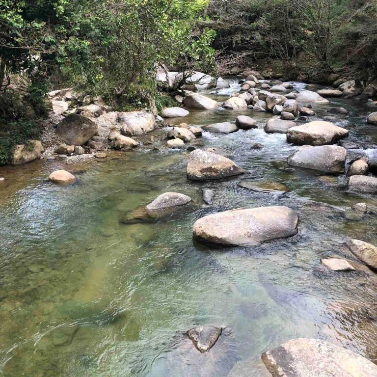 Cabaña del rio, San Luis, Antioquia - Chalet de 1 dormitorio - 6
