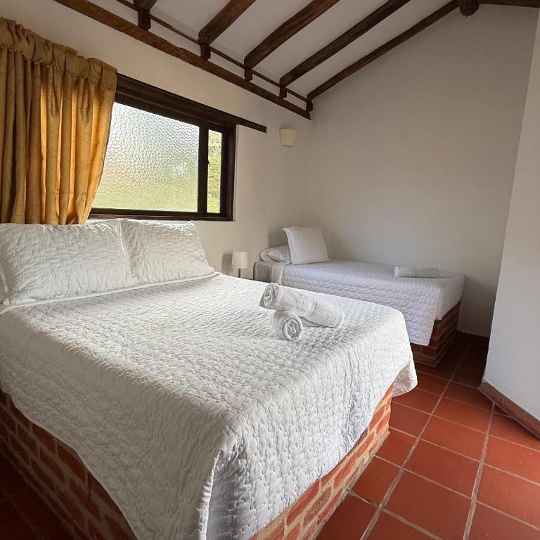 Hotel Montelux - Standard Twin Room - 4