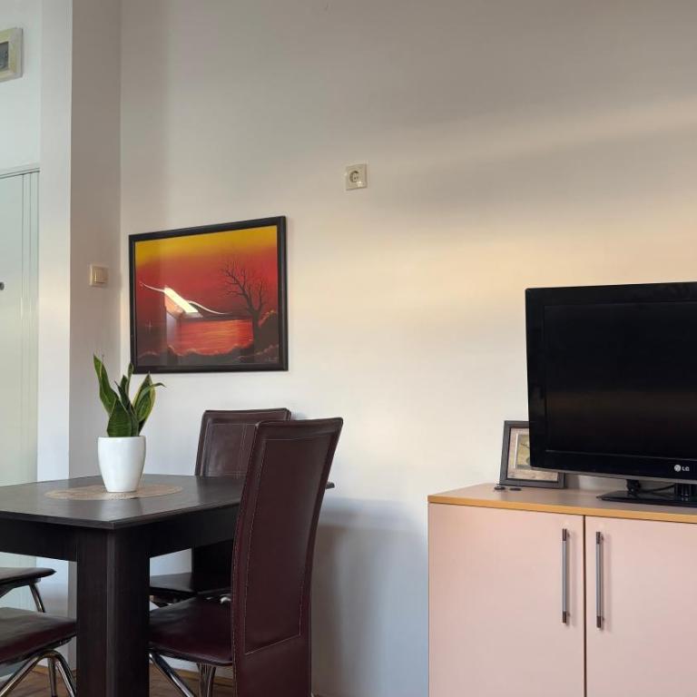 Apartman Exit Novi Sad - Apartman sa 1 Spavaćom Sobom - 1