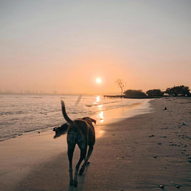 Apartamento en Cartagena con vista al mar, piscina rooftop y playa - Apartamento de 3 dormitorios - 53