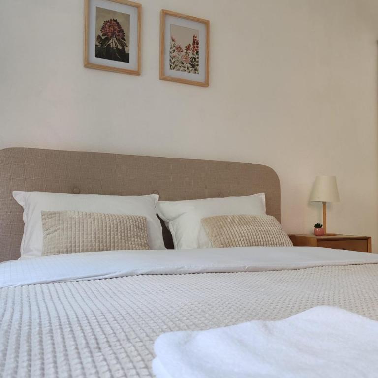 Studio 23 - One-Bedroom Apartment - 22