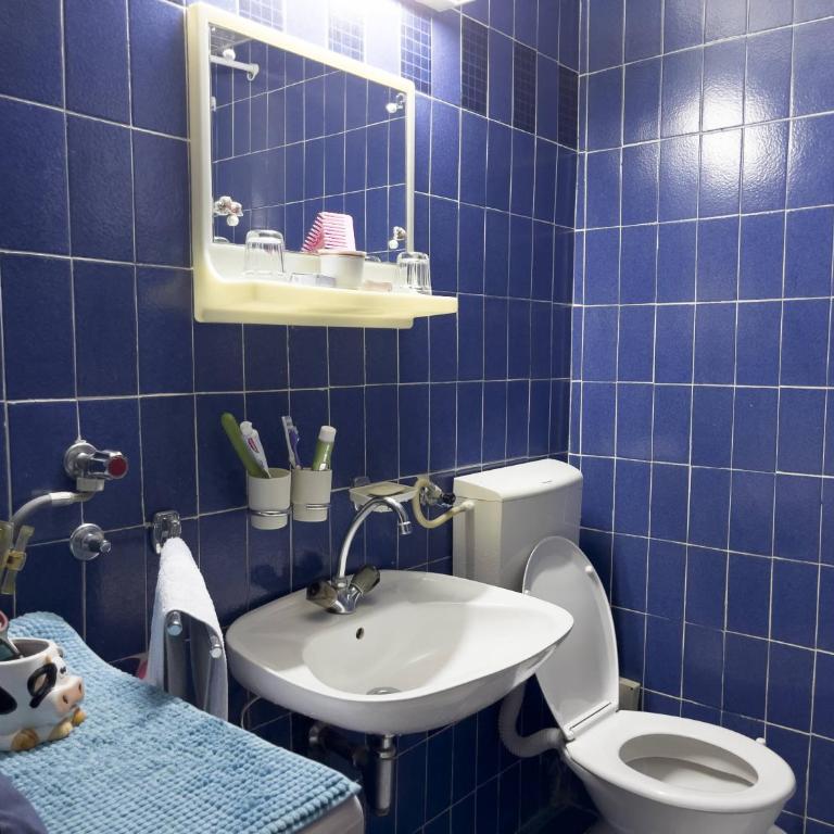 Central Studio 25 - Apartman sa 1 Spavaćom Sobom, Balkonom i Pogledom na Planinu - 7