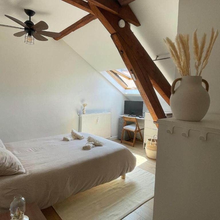 Douceur du Lac - Hyper center - Apartment mit 1 Schlafzimmer - 1