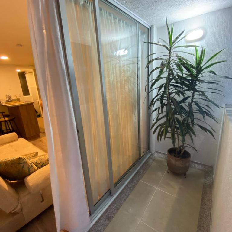 Estancias confortables, amigos y familia - Apartamento de 3 dormitorios - 29