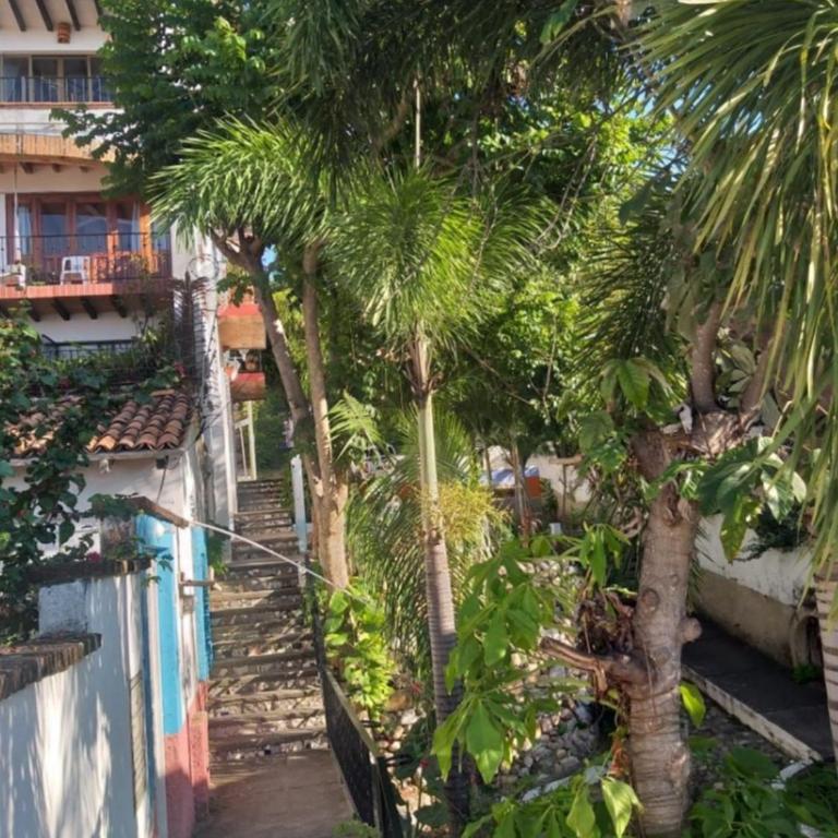 Casita Vista al mar cerca del malecón - Casa con 1 dormitorio - 24