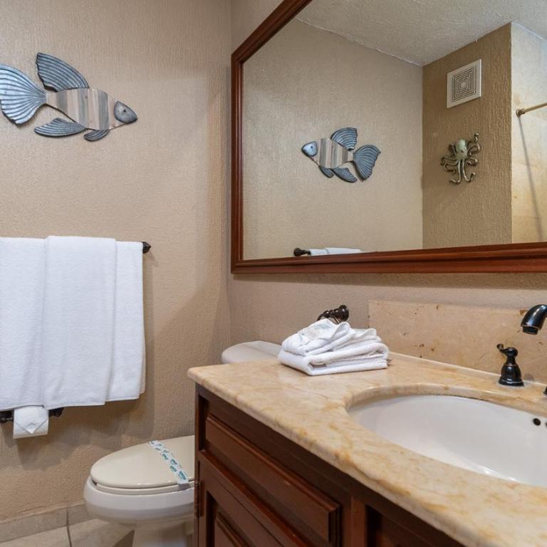 Sonoran Sun - Vacation Home - 22