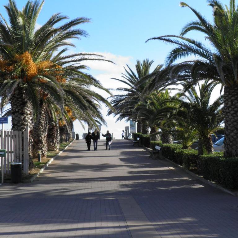 Studio cabine avec loggia et parking, proche plage - FR-1-338-626 - Apartment - 14