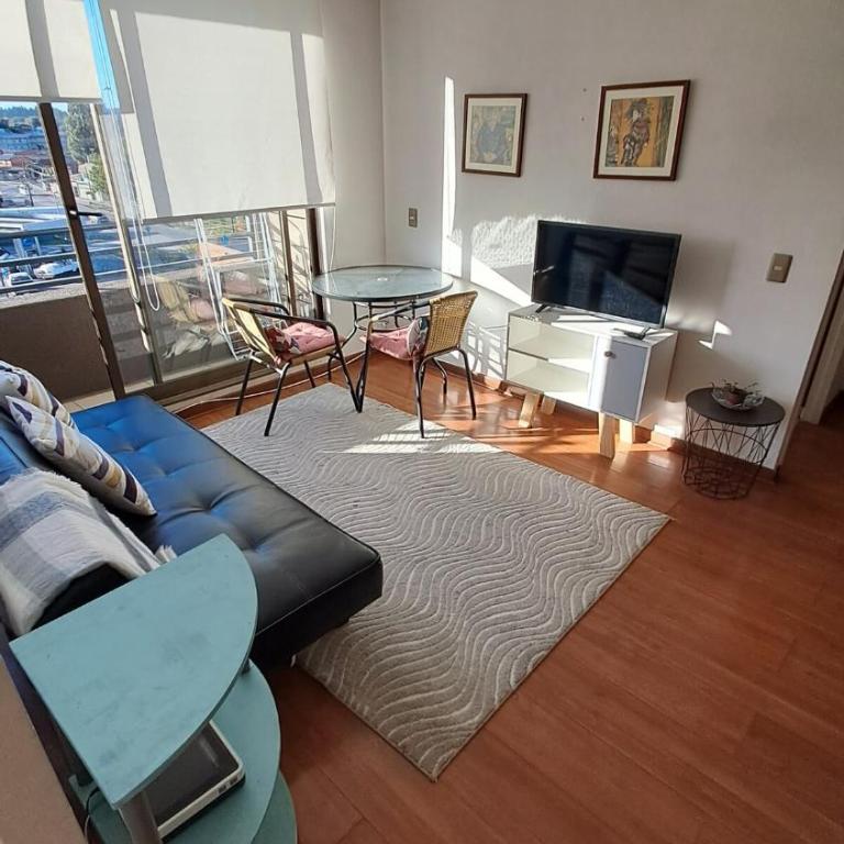 Aníbal Pinto Apartment 2D 2B - Apartamento de 1 dormitorio - 1