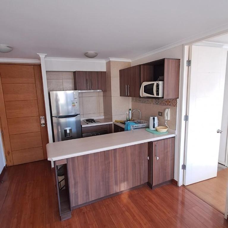Aníbal Pinto Apartment 2D 2B - Apartamento de 1 dormitorio - 8