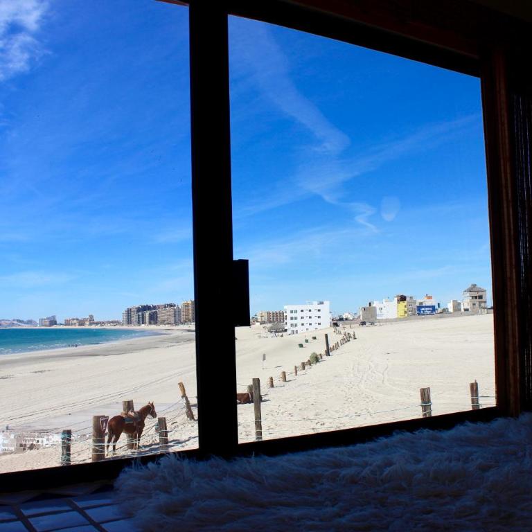 Mid-century Ocean View Apartment - Casa - 15