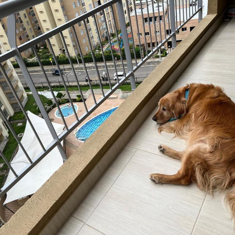 Apartamento con Piscina - Vista a las montañas - Villeta a 90 min de Bogotá - Apartamento de 2 dormitorios con balcón - 27