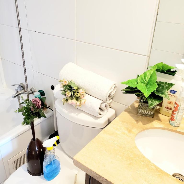 Apartamento Clínica Católica, Metro Santa Lucía - One-Bedroom Apartment - 7