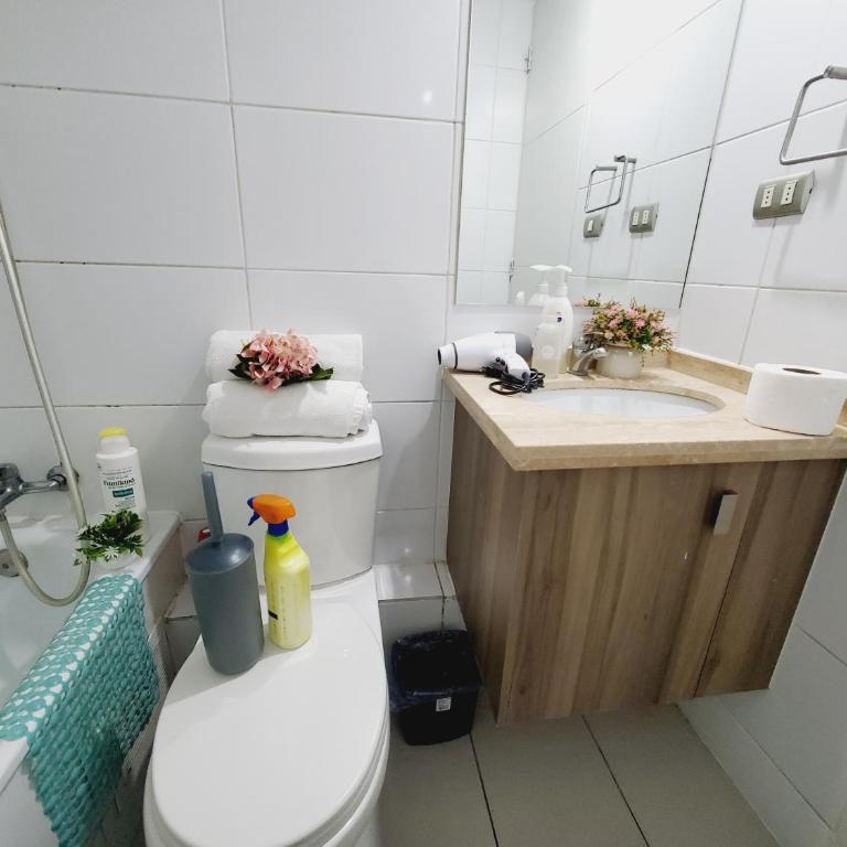 Apartamento Clínica Católica, Metro Santa Lucía - One-Bedroom Apartment - 43