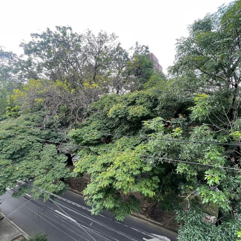 Casa La 35 - Habitación Doble Deluxe - 2 camas dobles - 2