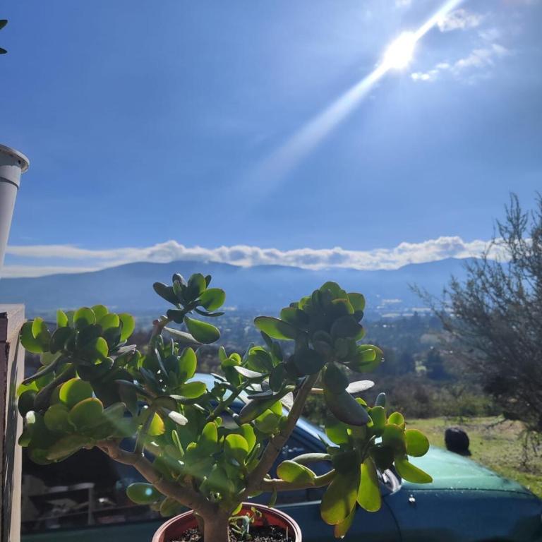 Camping Limache piscina Jacuzzi quincho - One-Bedroom House - 18