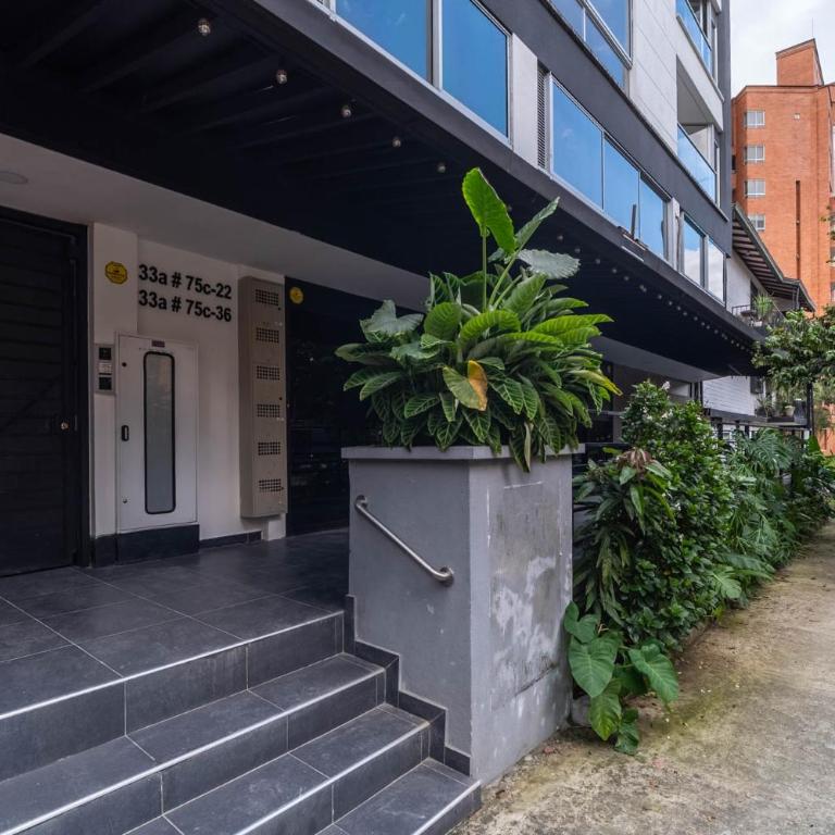 Cozy Spring Flat in Laureles - One-Bedroom Apartment - 22