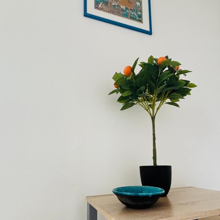 T3 City Center MENTON- PARKING - Apartment mit 2 Schlafzimmern - 19