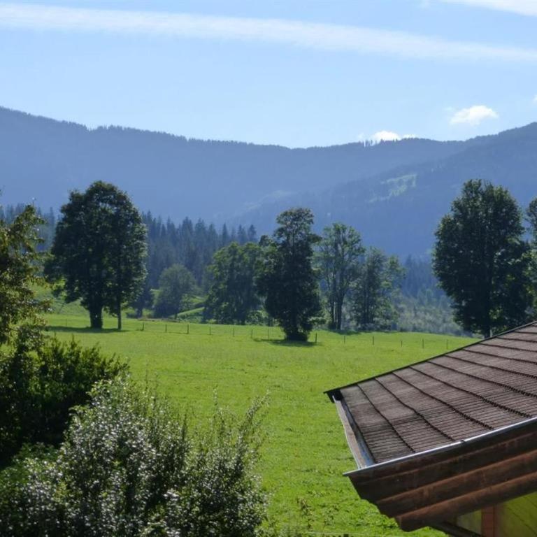 Landhaus Zass - Apartment mit 1 Schlafzimmer - 8