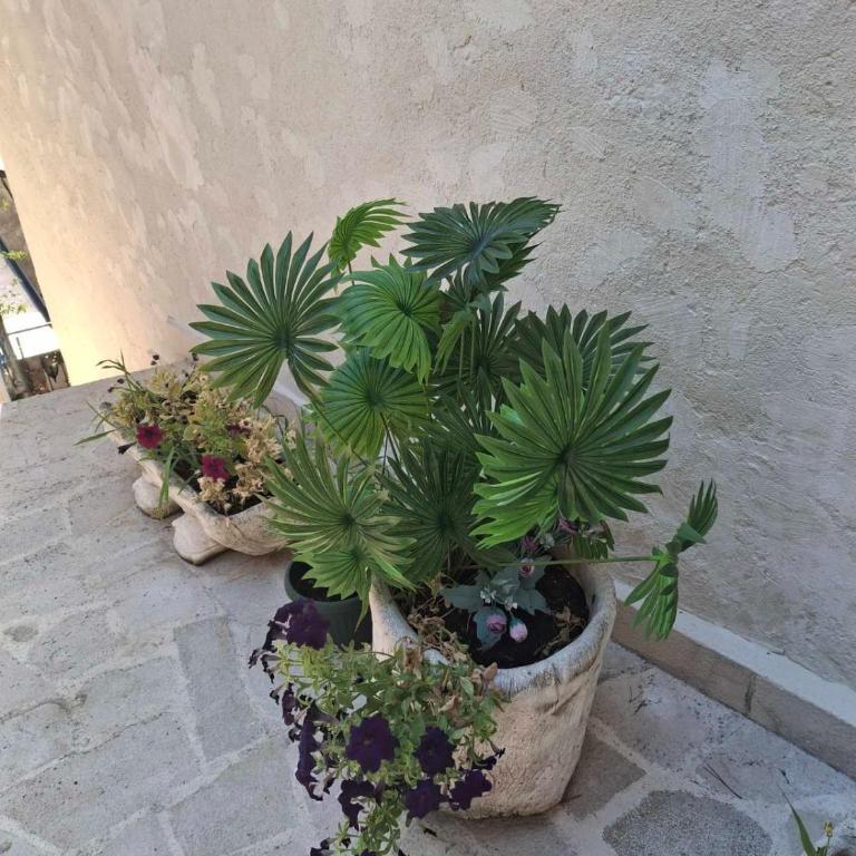 Private - Rooftop Oasis in the Heart of Old Town - Two-Bedroom Apartment - 38