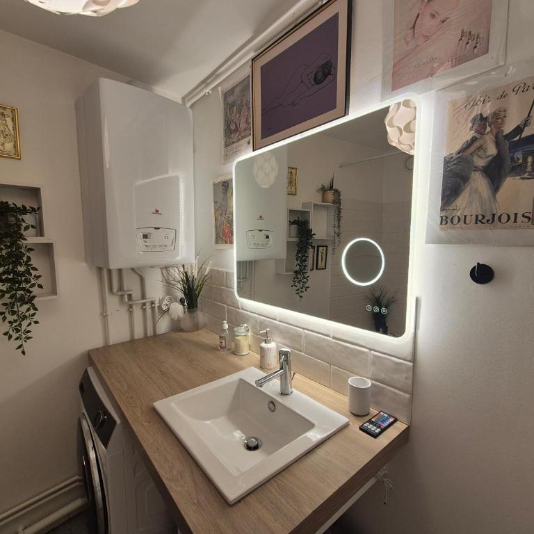 Appartement La Muse Centre Historique Rouen - Apartamento de 1 dormitorio - 41