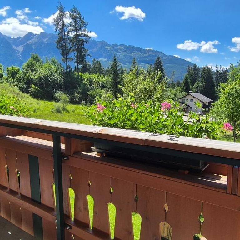 Appartement-Pension Familie Gewessler - Superior Apartment mit 1 Schlafzimmer - 10
