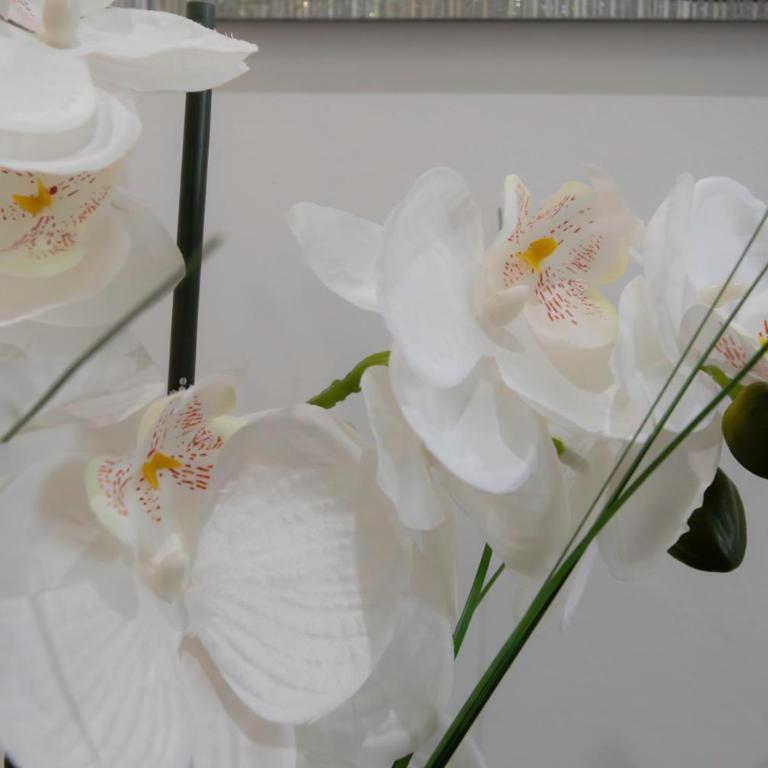 #28 Staywiz us -1 BDR Flat AC Balcony Hper Central 10mins to Beach & old town - Appartement 1 Chambre - 17