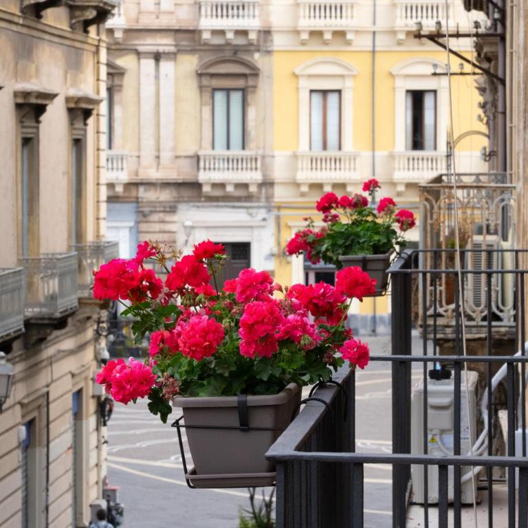 Town House 54 - Suite King con Balcone - 37