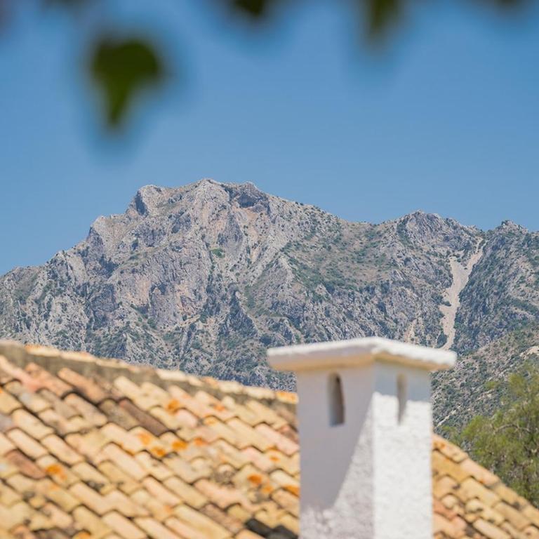 Villa Simone - Villa with Private Pool - 31