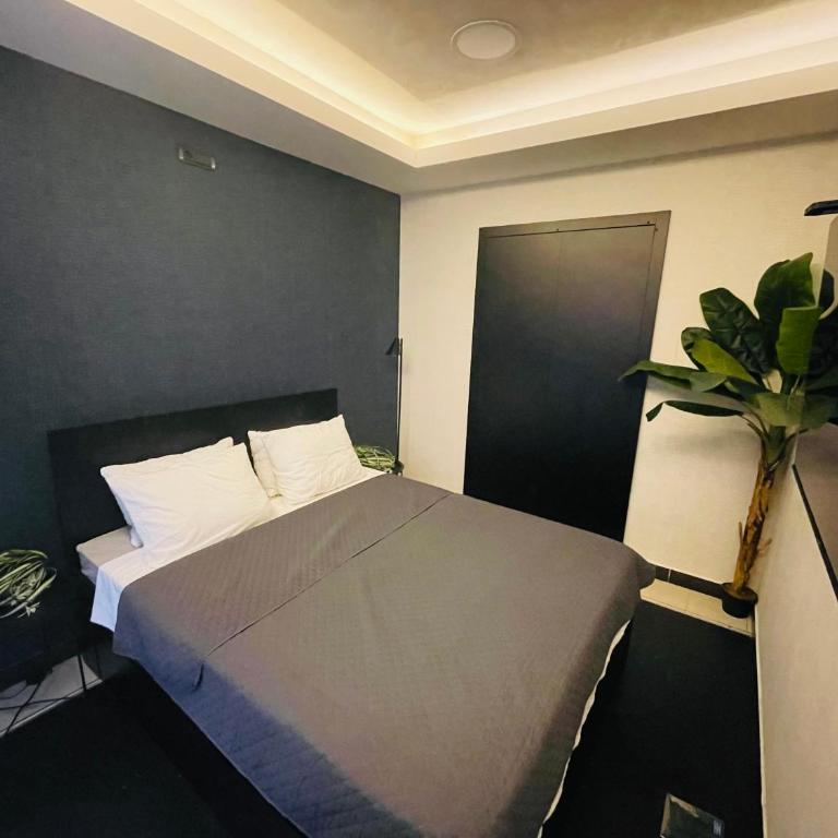 Knez - One-Bedroom Apartment - 11