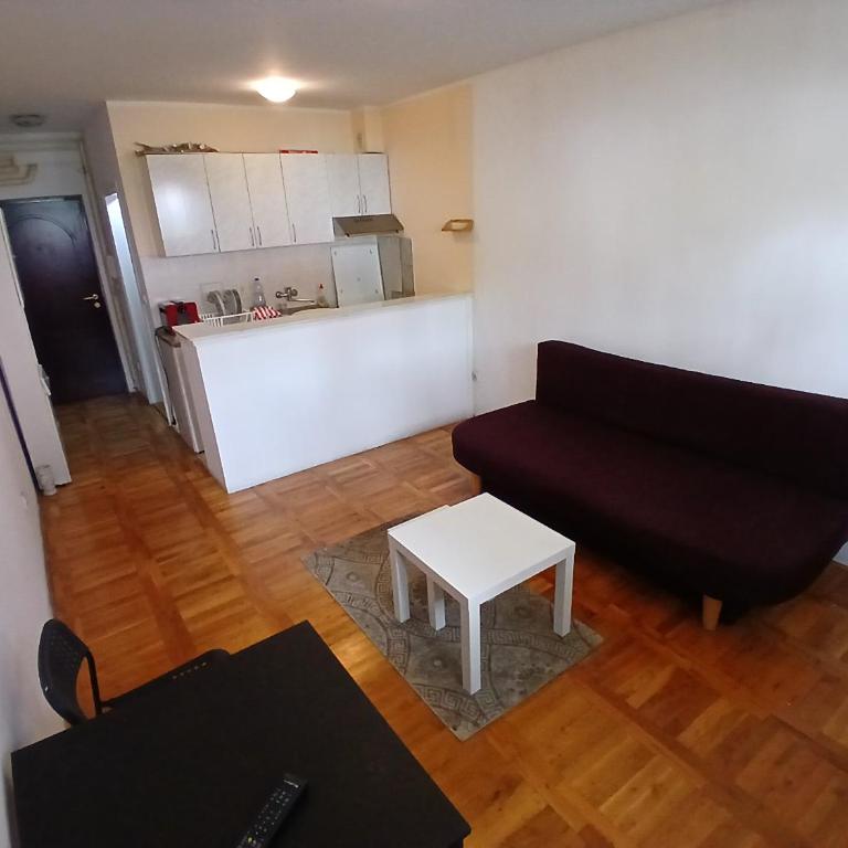 17 Oktobar Rakovica - Apartman sa 1 Spavaćom Sobom - 5