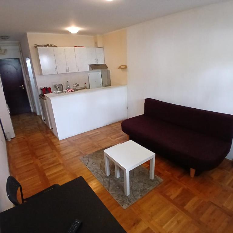 17 Oktobar Rakovica - Apartman sa 1 Spavaćom Sobom - 14