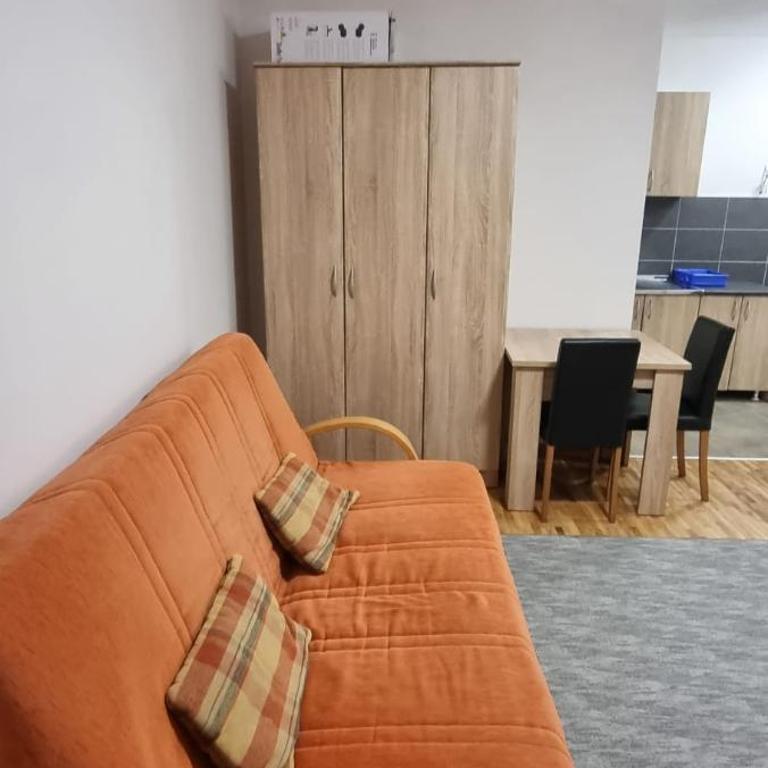 Vojvode Stepe Vozdovac - Apartman sa 1 Spavaćom Sobom - 6