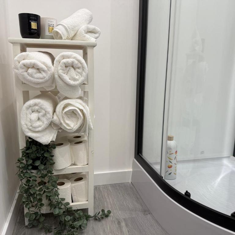 Madrid Dream House - Alquiler Corta duración - Two-Bedroom Apartment - 24