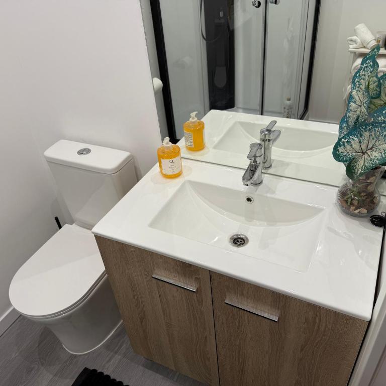 Madrid Dream House - Alquiler Corta duración - Two-Bedroom Apartment - 23