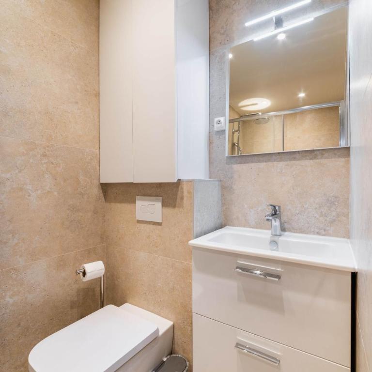 Studio refait a neuf ile saint louis Paris 4 - 2P - Studio - 12
