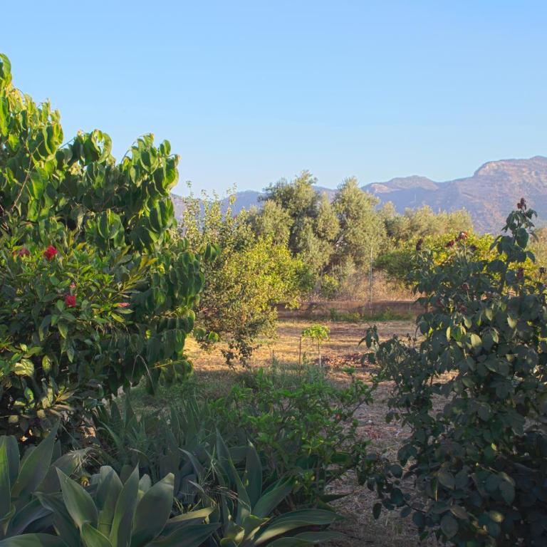 Finca La Madreselva - Three-Bedroom Townhouse - 2