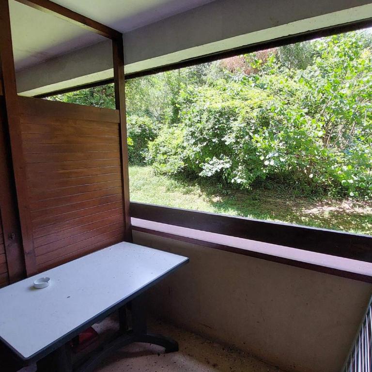 Studio cosy avec balcon ouest, WIFI, parking couvert - FR-1-512-219 - Studio - 10