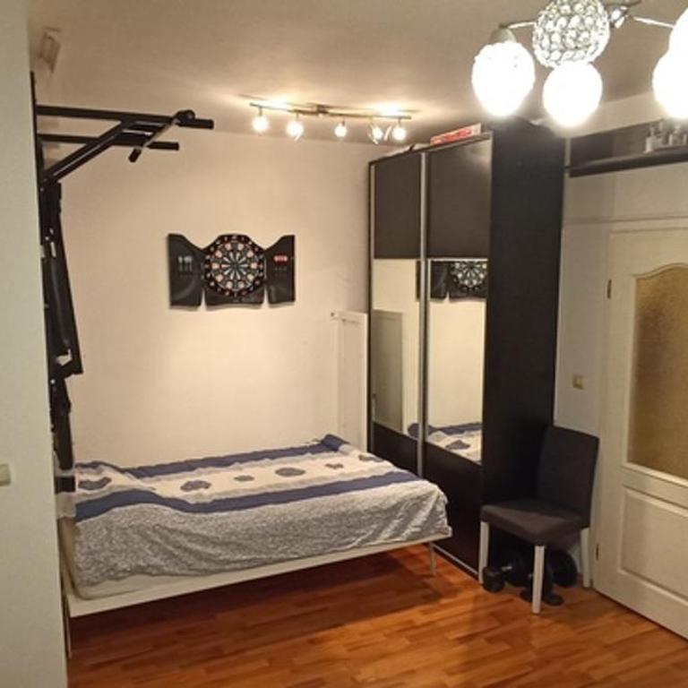 Quiet Tolstojeva - Apartman sa 1 Spavaćom Sobom - 6