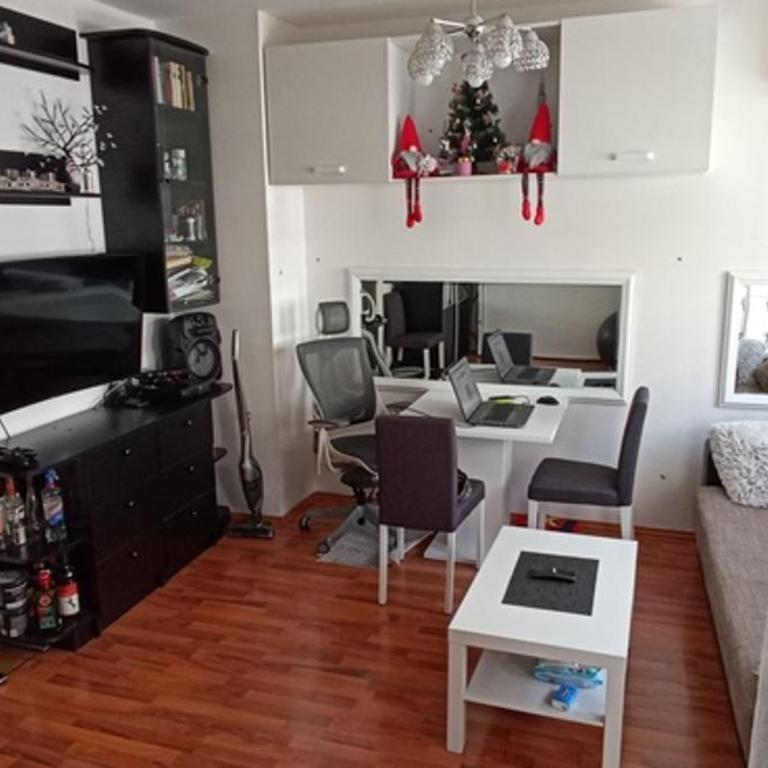 Quiet Tolstojeva - Apartman sa 1 Spavaćom Sobom - 10