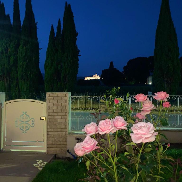 Tavernetta La Lavanda annessa a Suite Apartment Assisi - Appartamento con 1 Camera da Letto - 22