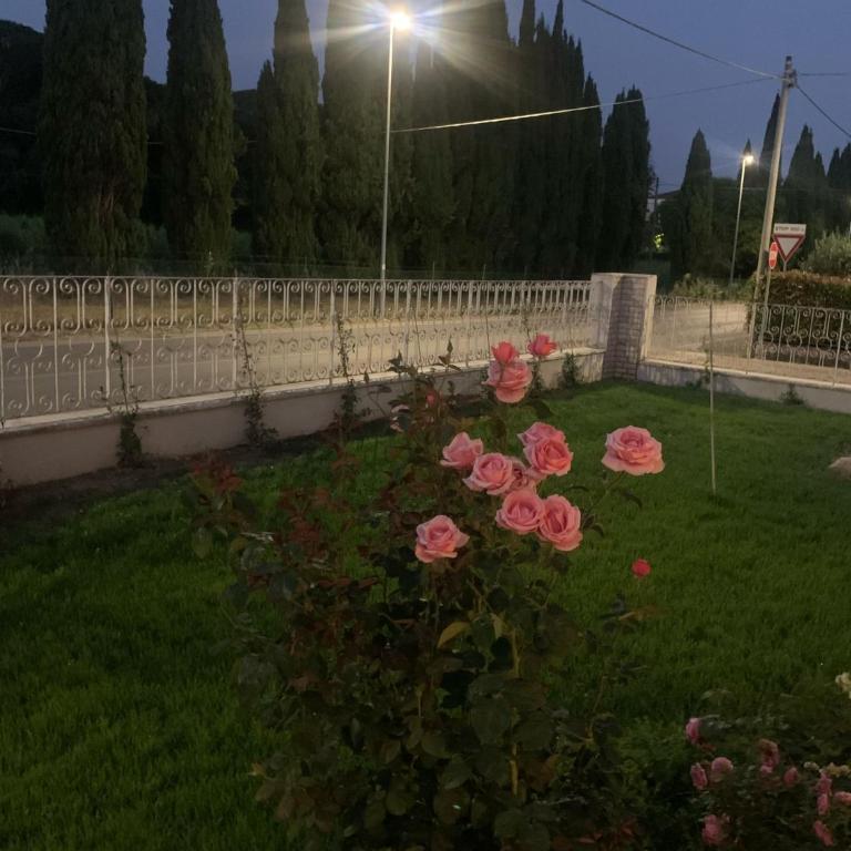 Tavernetta La Lavanda annessa a Suite Apartment Assisi - Appartamento con 1 Camera da Letto - 21