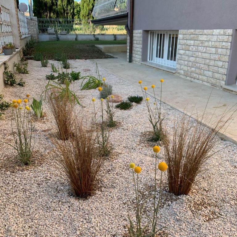 Tavernetta La Lavanda annessa a Suite Apartment Assisi - Appartamento con 1 Camera da Letto - 32