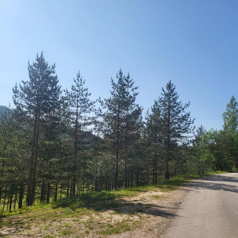 Soko Guest House - Two-Bedroom Apartment - 25