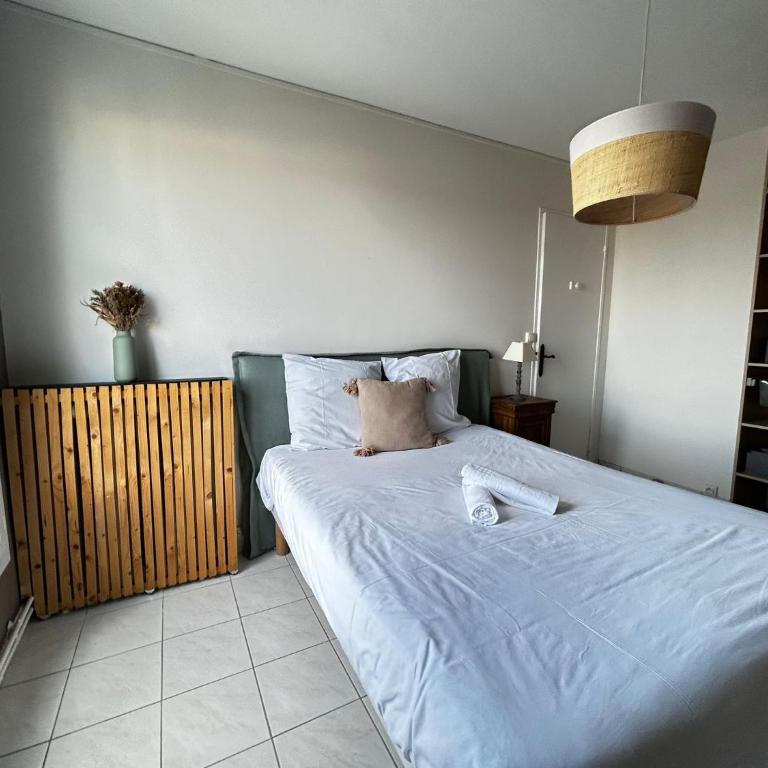 Le 8 Limougeaud, lumineux et spacieux - Appartement - 17