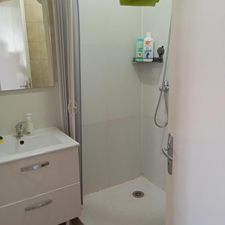 STUDIO 6 LUZ SAINT SAUVEUR 5 Pers - Appartement 1 Chambre - 6
