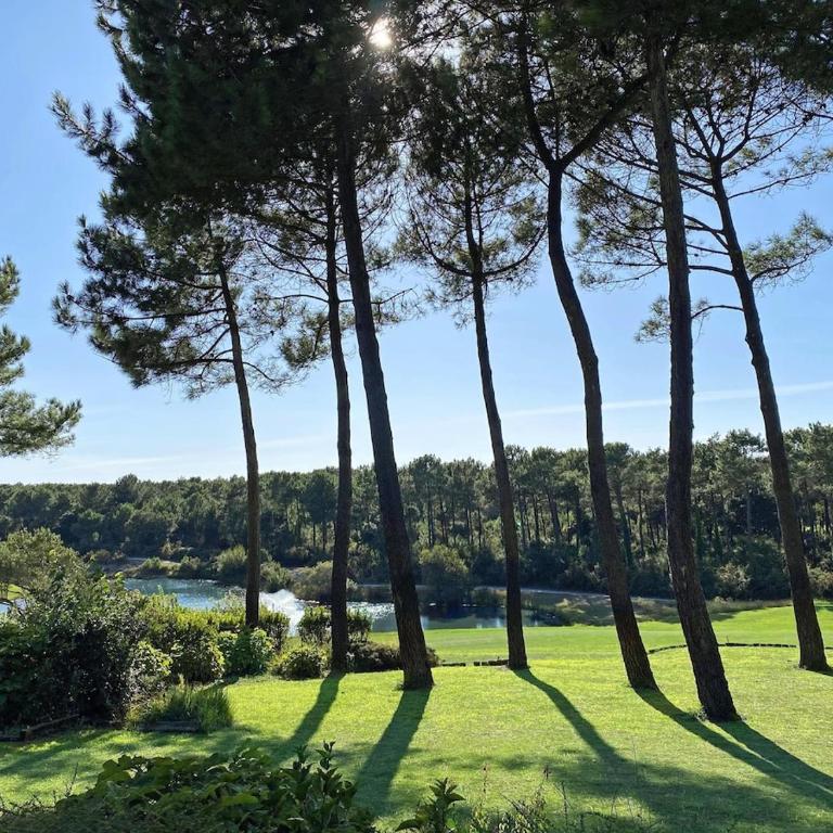 Villa Hau'Oli, 4 chambres, spacieuse, piscine privée, grand jardin fleuri vue golf et 8min à pied de la plage - Villa - 16