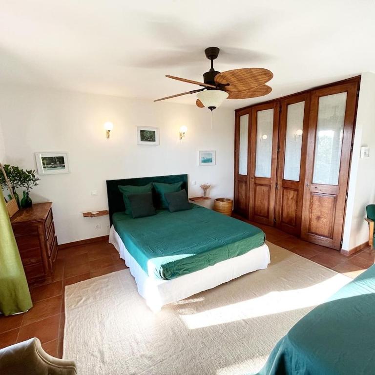 Villa Hau'Oli, 4 chambres, spacieuse, piscine privée, grand jardin fleuri vue golf et 8min à pied de la plage - Villa - 34