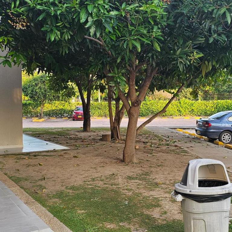 Hacienda Peñalisa Mango - Apartamento de 1 dormitorio - 11
