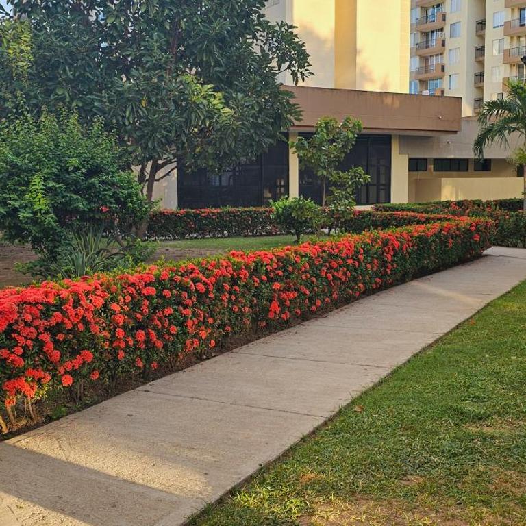 Hacienda Peñalisa Mango - Apartamento de 1 dormitorio - 19